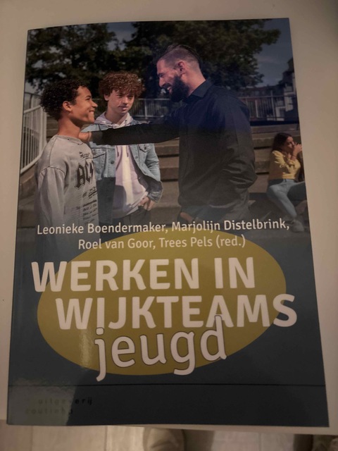 9789046908129-Werken-in-wijkteams-jeugd