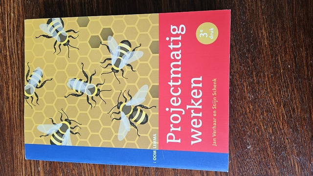 9789462364028-Projectmatig-werken