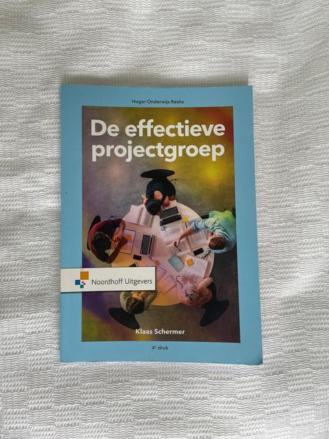 9789001575403-De-effectieve-projectgroep