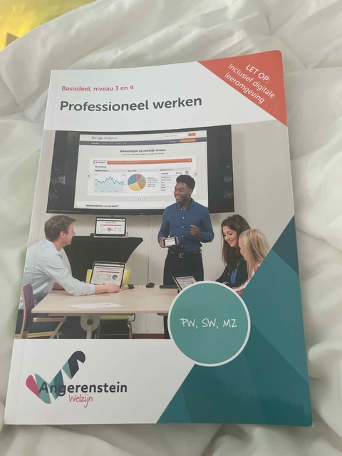 9789037254372-NIEUW-BOEK-Professioneel-werken
