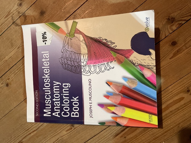 9780323057219-Musculoskeletal-Anatomy-Coloring-Book
