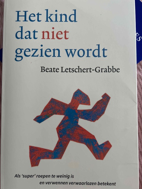 9789081949378-Het-kind-dat-niet-gezien-wordt