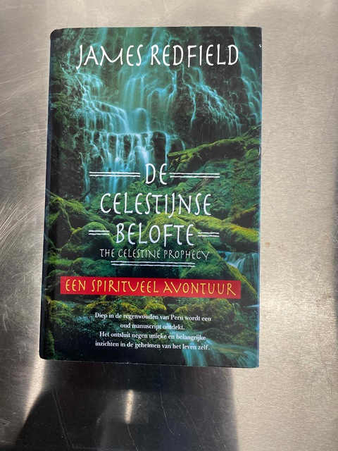 9789022520154-De-Celestijnse-belofte