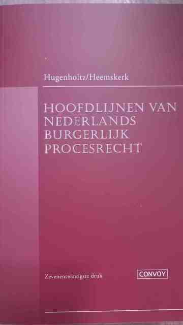 9789463174145-Hoofdlijnen-van-Nederlands-burgerlijk-procesrecht