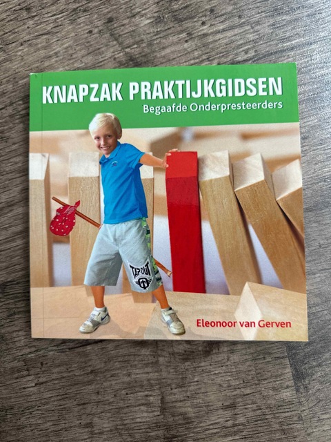 9789461938879-Begaafde-Onderpresteerders
