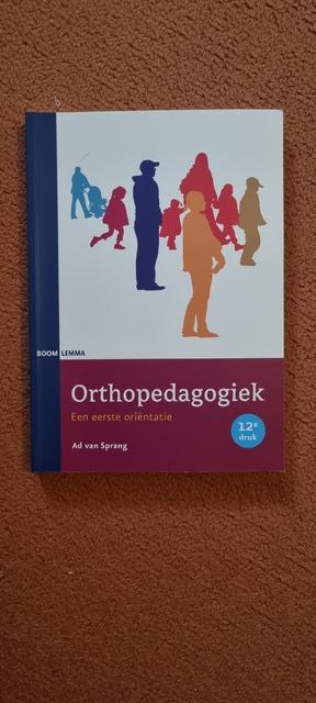 9789059315907-Orthopedagogiek