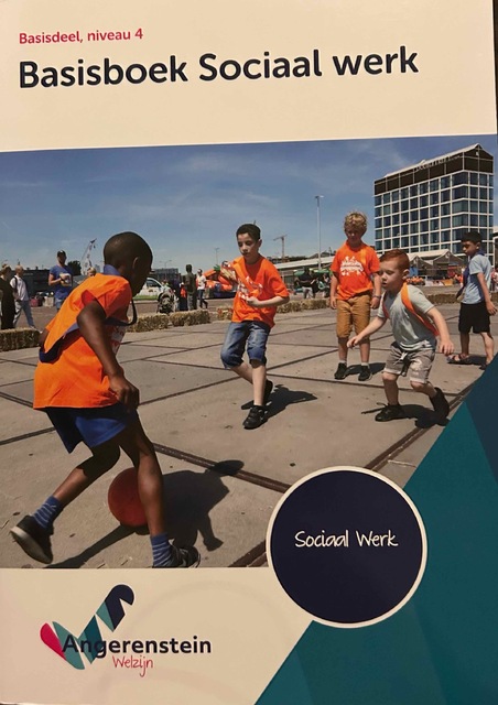 9789037244045-Basisboek-sociaal-werk