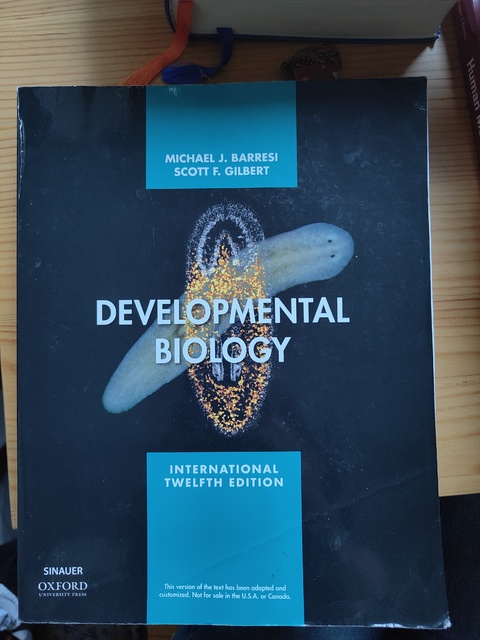 9781605358741-Developmental-Biology