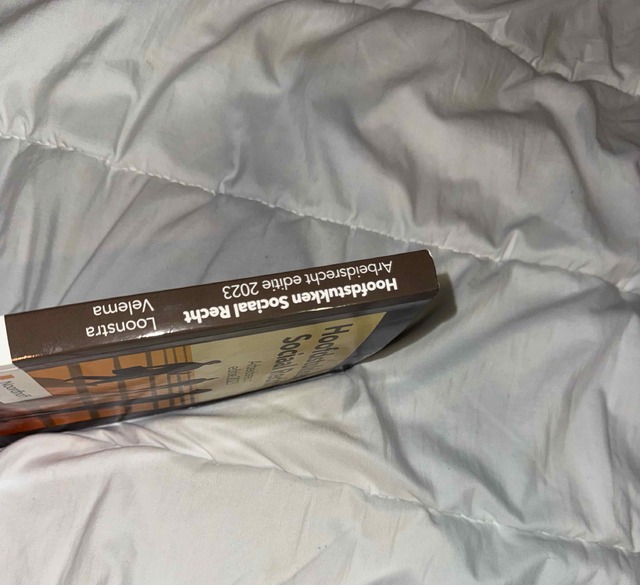 9789001077327-Hoofdstukken-sociaal-recht-2023