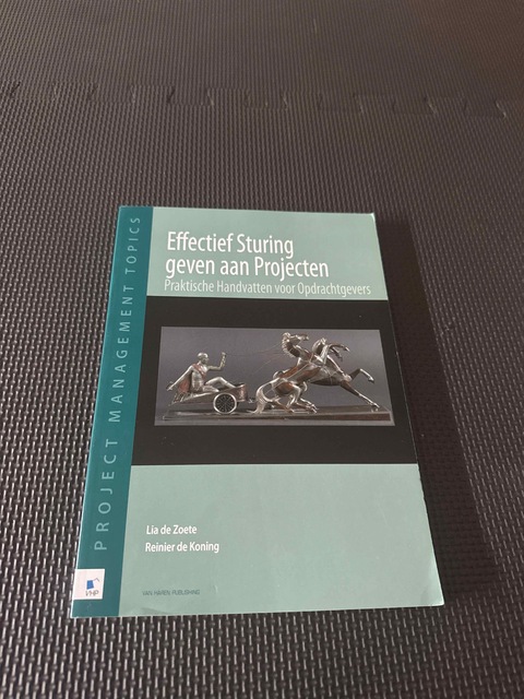 9789087534936-Effectief-sturing-geven-aan-projecten