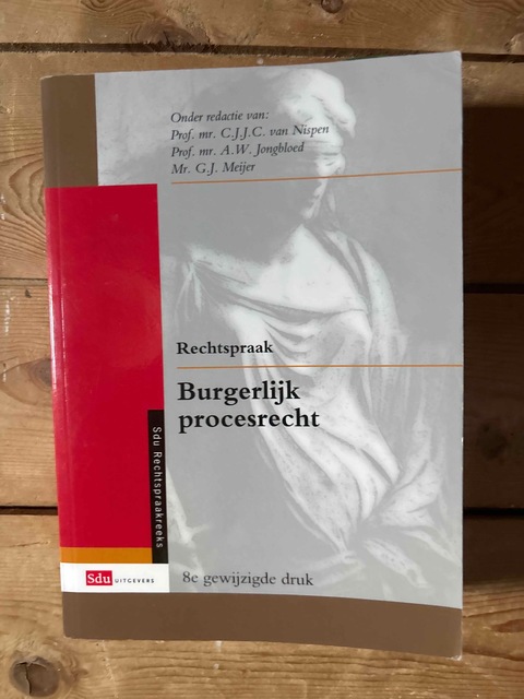 9789012393829-Rechtspraak-Burgerlijk-procesrecht