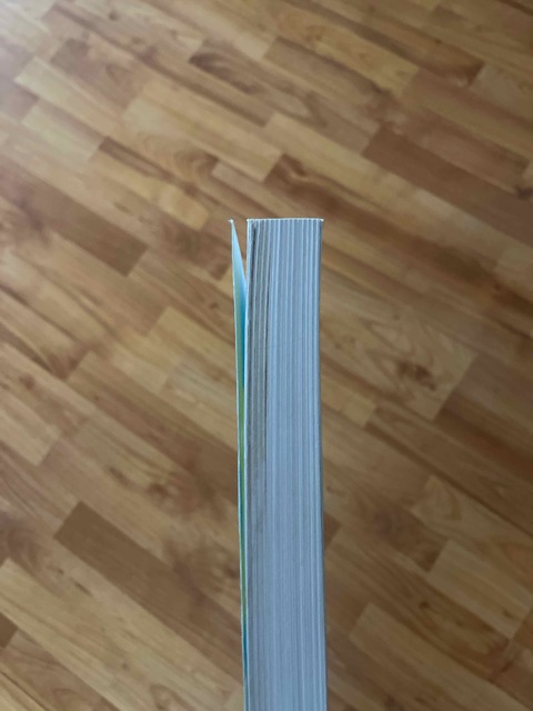 9789462907836-Arbeidsrecht-begrepen