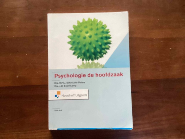 9789001710996-Psychologie-de-hoofdzaak