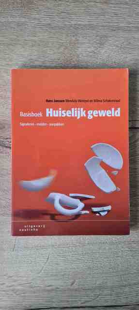 9789046906576-Basisboek-huiselijk-geweld