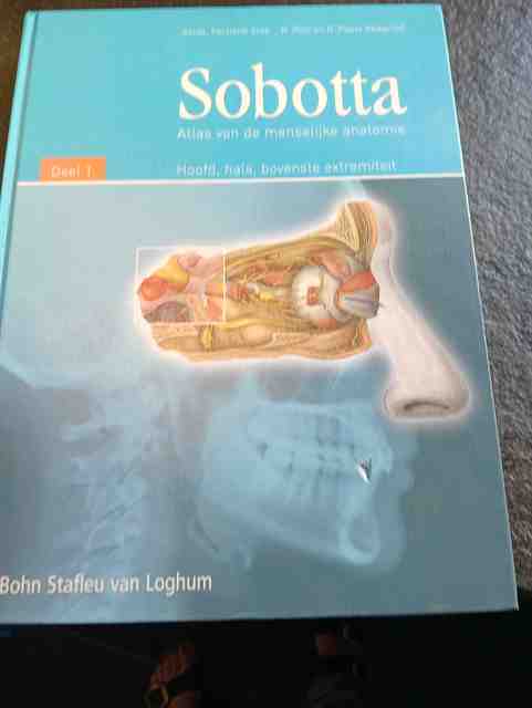 9789031347124-Sobotta-1-Hoofd-hals-bovenste-extremiteit