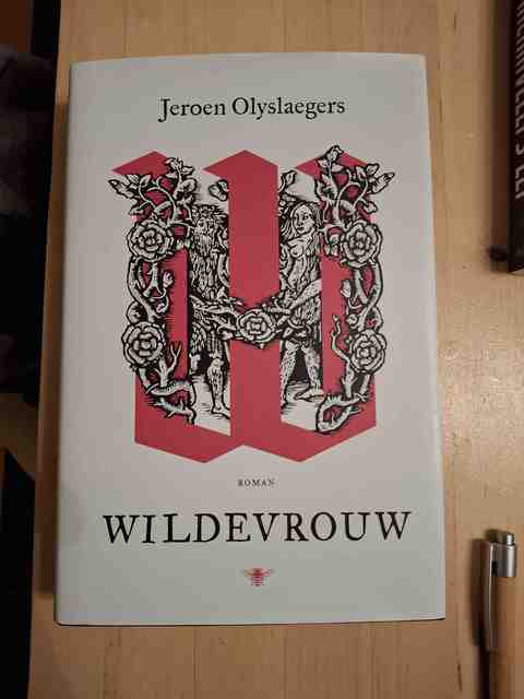 9789403113012-Wildevrouw