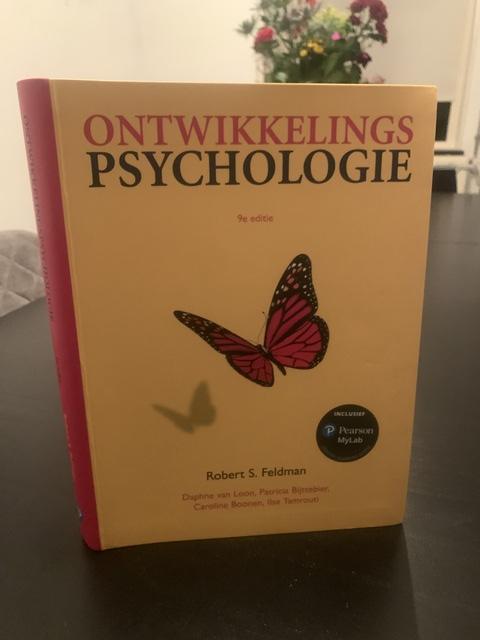 9789043041690-Ontwikkelingspsychologie