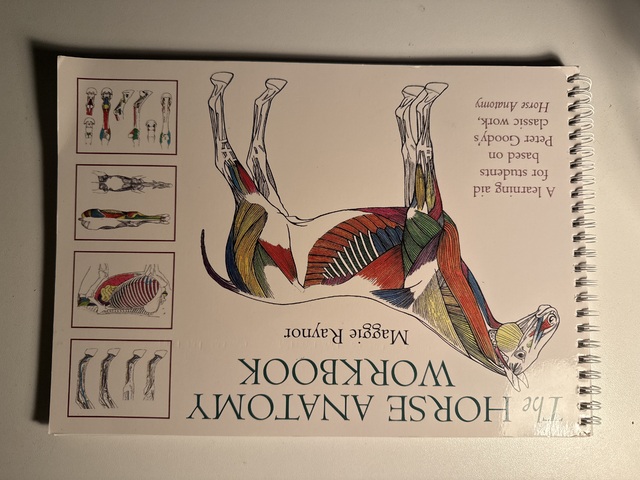 9780851319056-Horse-Anatomy-Workbook