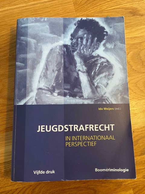 9789462360006-Jeugdstrafrecht
