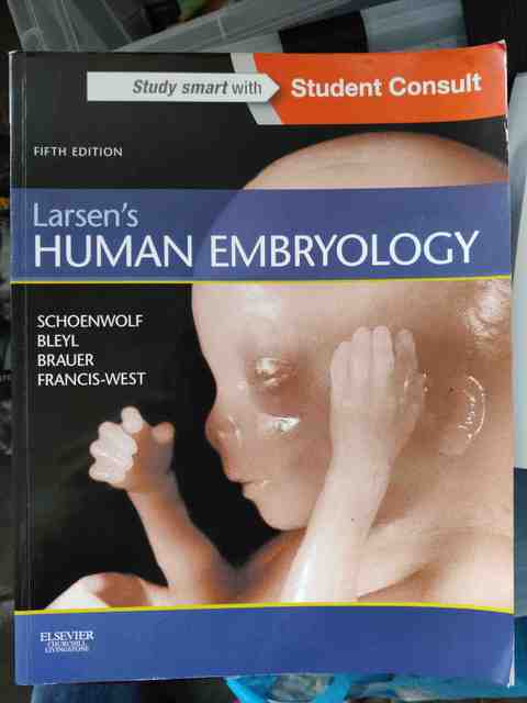 9781455706846-Larsens-Human-Embryology