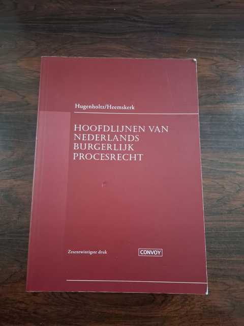 9789463173001-Hoofdlijnen-van-Nederlands-Burgerlijk-Procesrecht