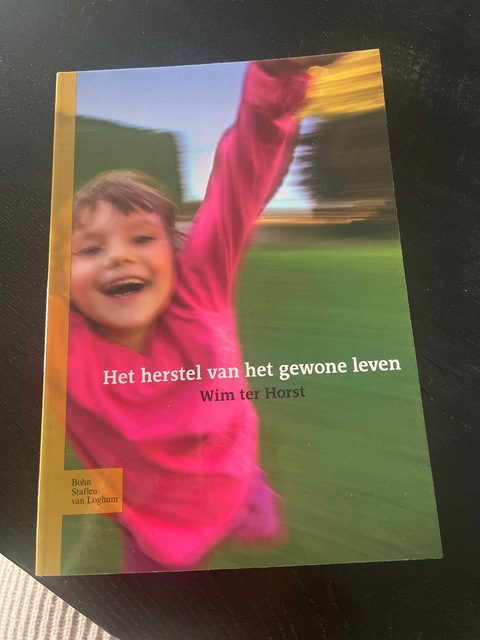 9789031329939-Het-herstel-van-het-gewone-leven