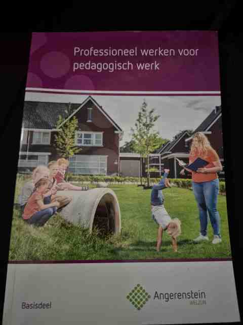 9789037244069-Professioneel-werken-voor-pedagogisch-werk-Basisdeel