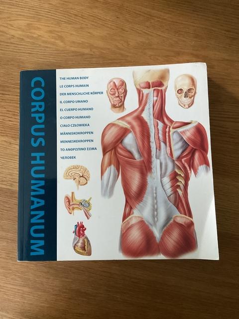 9788499362151-The-Human-Body