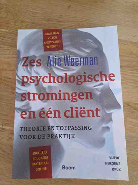 9789024402465-Zes-psychologische-stromingen-en-een-client