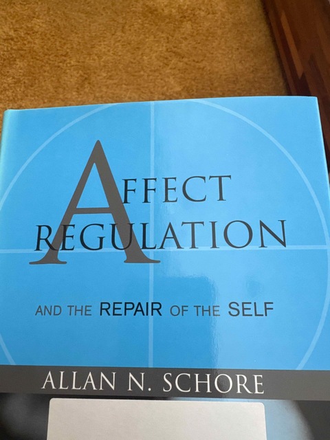 9780393704075-Affect-Regulation-and-the-Repair-of-the-Self