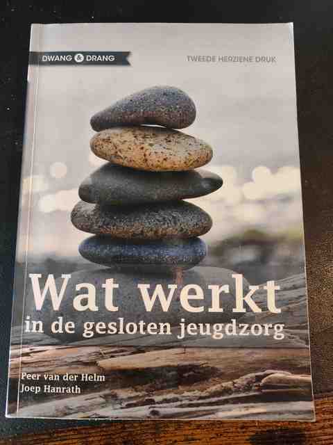 9789088503771-Wat-werkt