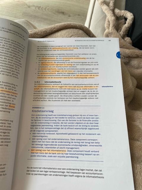 9789001903190-Grondslagen-van-Auditing-en-Assurance