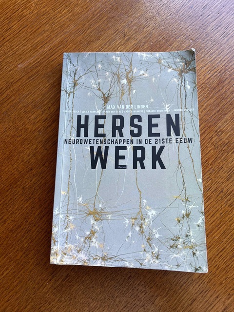 9789058758675-Hersenwerk