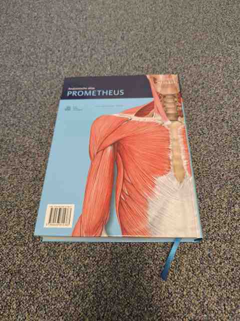 9789036815383-Algemene-anatomie-en-bewegingsapparaat