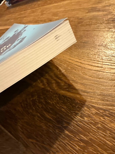 9789088506246-Handboek-werken-in-de-wijk