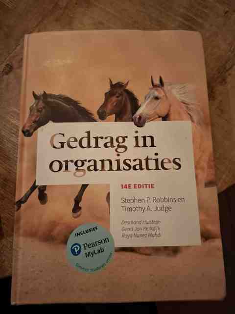 9789043037204-Gedrag-in-organisaties