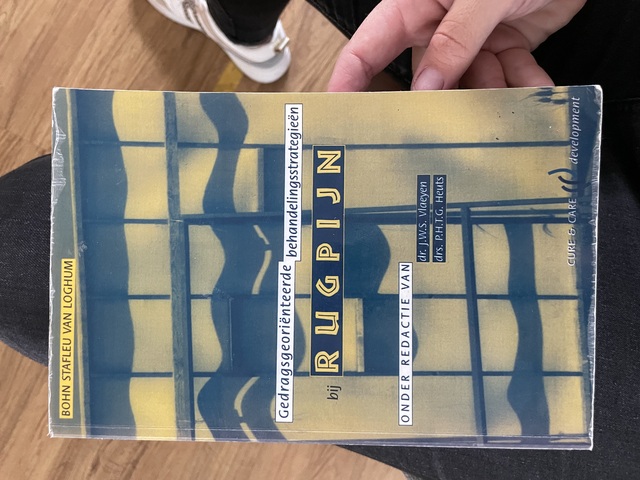 9789031332090-Gedragsgeorienteerde-behandelingsstrategieen-bij-rugpijn