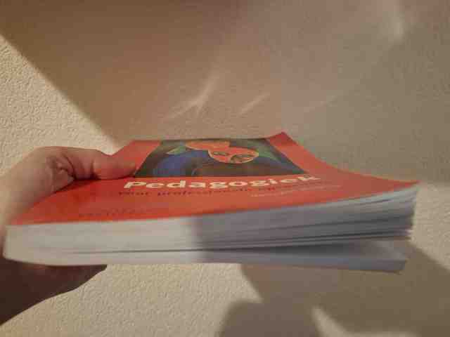 9789046901151-Pedagogiek-voor-professionele-opvoeders