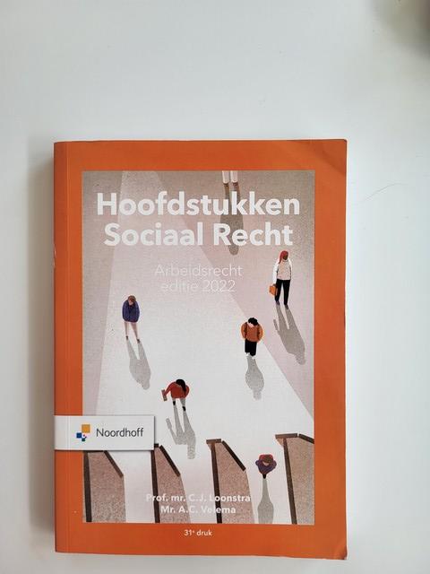 9789001299071-Hoofdstukken-sociaal-recht-2022