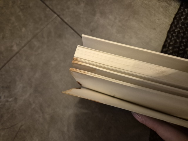 9789089532336-Begrijpen-we-het-nog