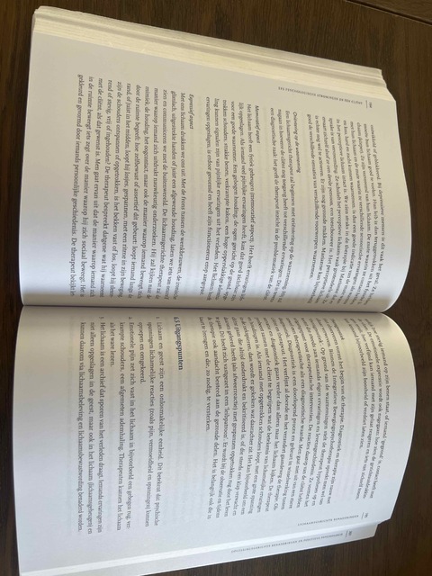 9789024402465-Zes-psychologische-stromingen-en-een-client