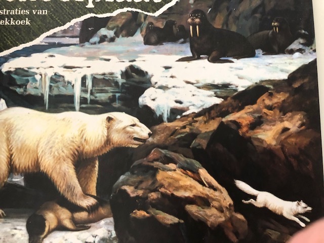 9789075531374-De-schoolplaat-Buiten-ons-land