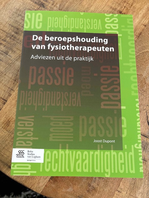 9789036803786-De-beroepshouding-van-fysiotherapeuten