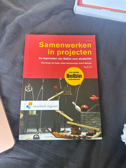 9789001850180-Samenwerken-in-projecten