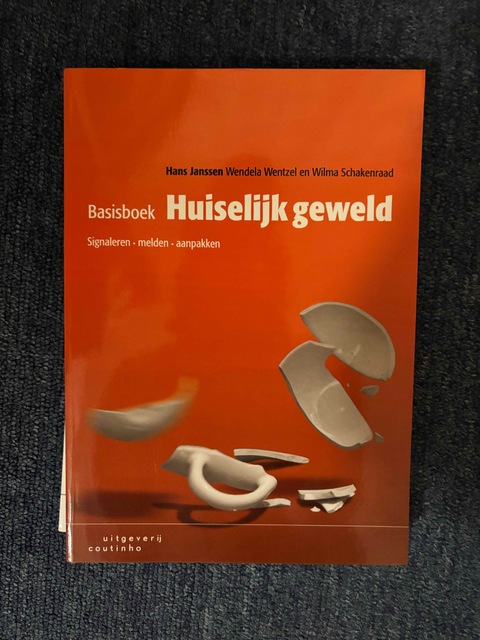 9789046906576-Basisboek-huiselijk-geweld