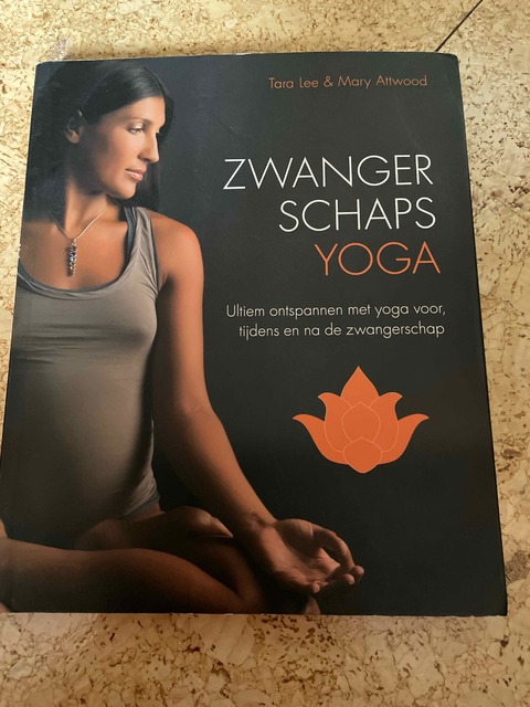 9789401301121-Zwangerschapsyoga