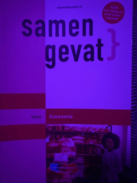 9789006641899-Samengevat-vwo-Economie