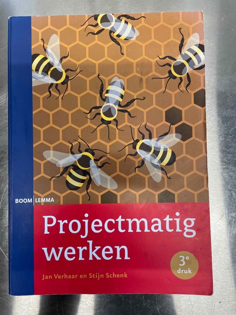 9789462364028-Projectmatig-werken