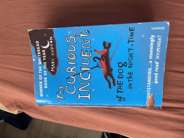 9780099470434-The-Curious-Incident-of-the-Dog-in-the-Night-time