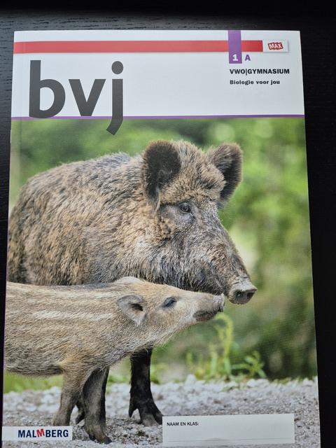 9789402068399-bvj-1-vwogymnasium-deel-A